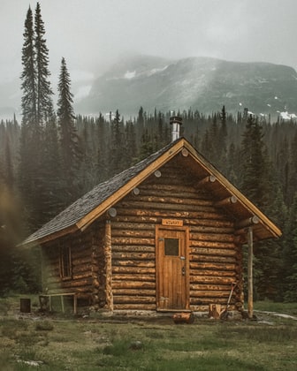 brown wooden cabin near trees during day